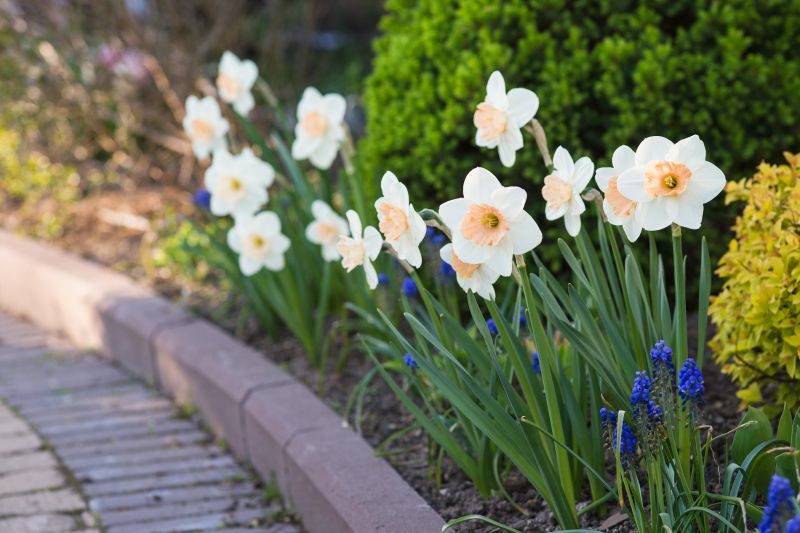 Decorative Paver Border